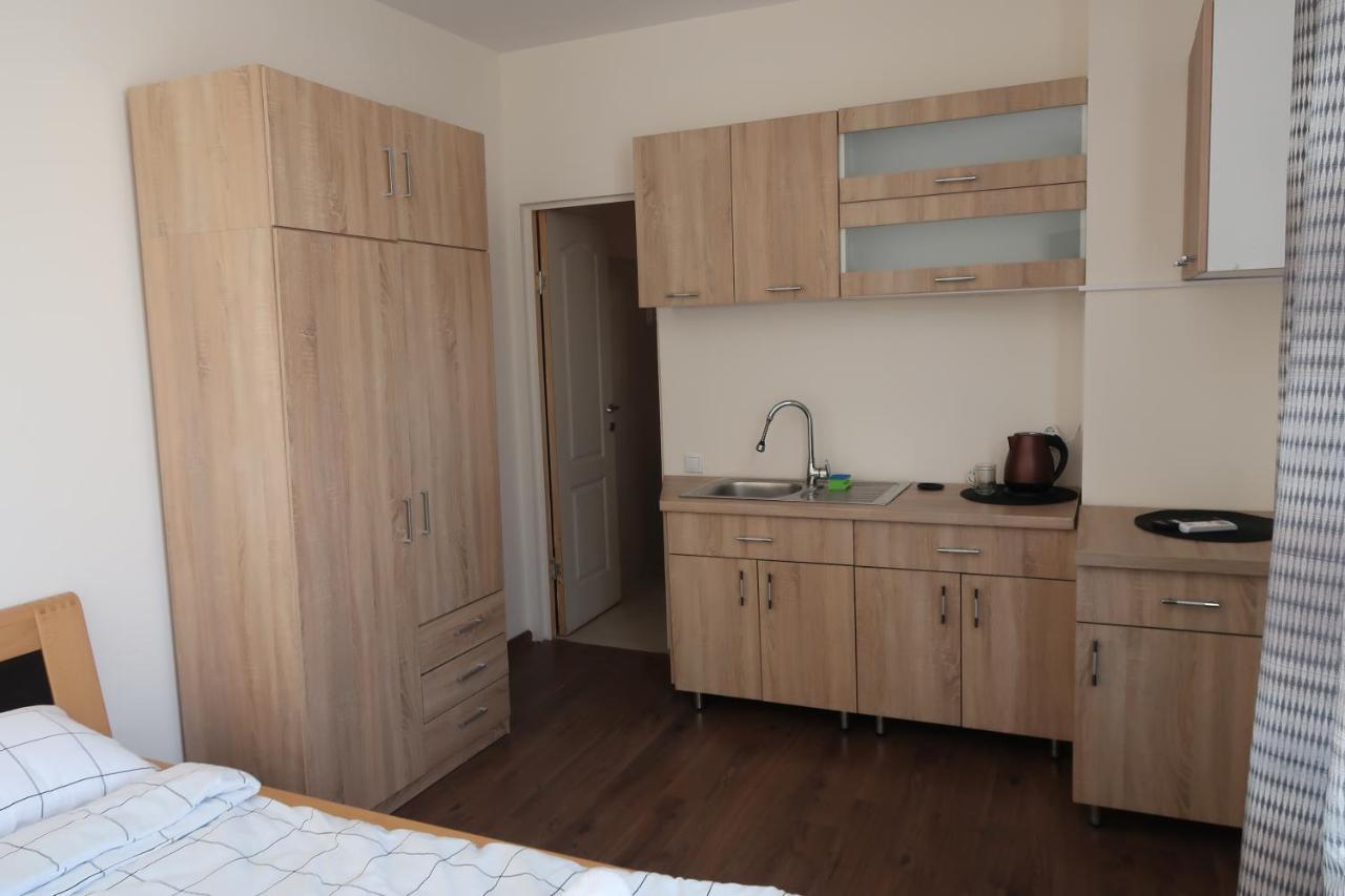 Downtown Studio III Leilighet Târgu-Mureş Eksteriør bilde